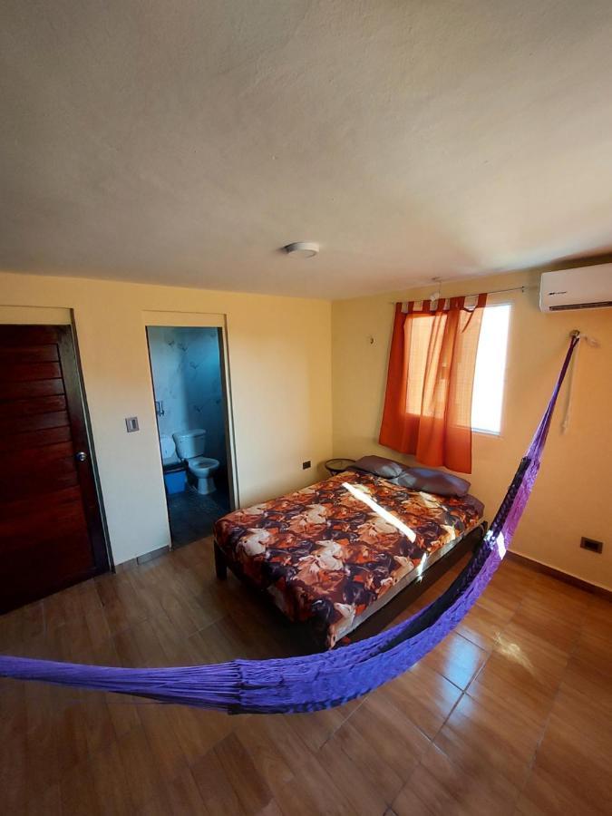 Hostel Venado 28 Cancún Exteriér fotografie