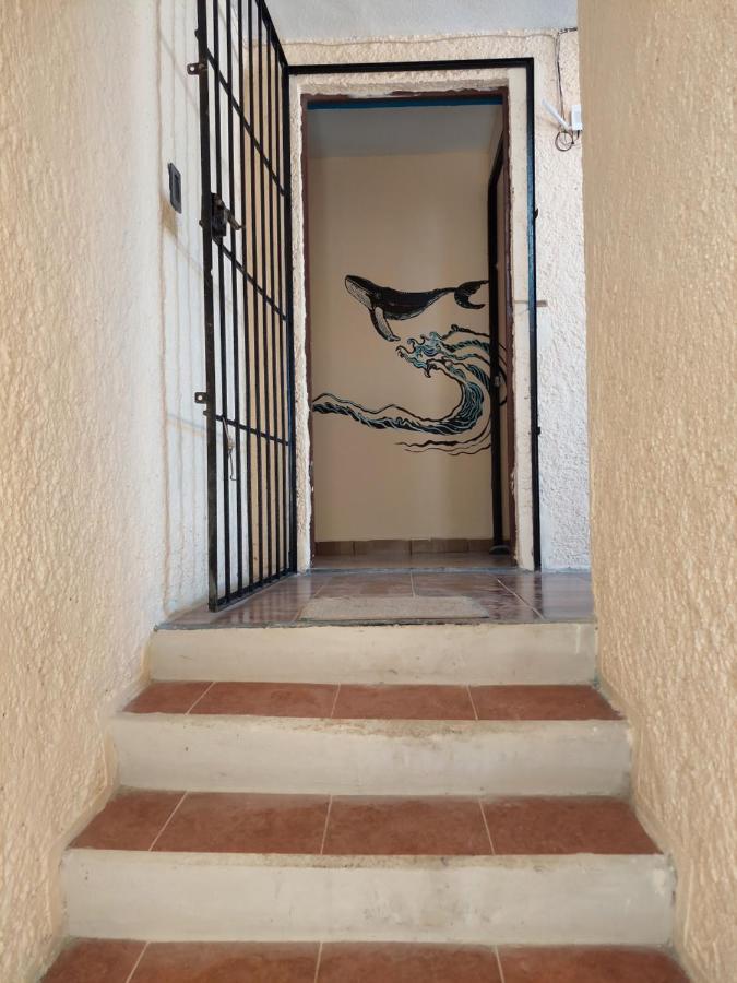 Hostel Venado 28 Cancún Exteriér fotografie