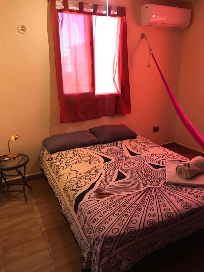 Hostel Venado 28 Cancún Exteriér fotografie